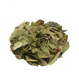 Αρκτοστάφυλος 100gr